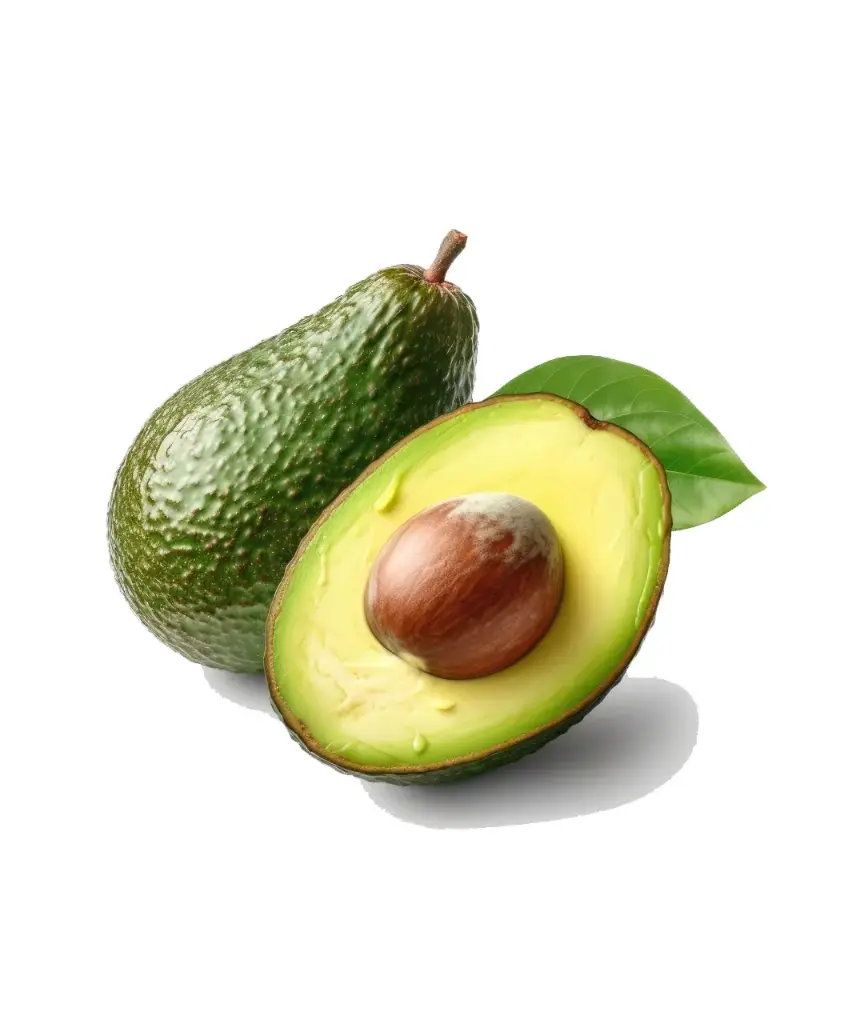 高品質新鮮牛油果